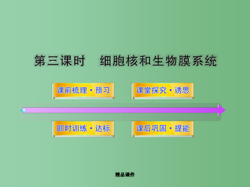 高中生物 3.2.3《细胞核和生物膜系统》同步 苏教版必修1