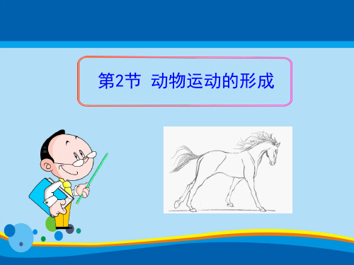 《动物运动的形成》PPT【精选推荐课件】