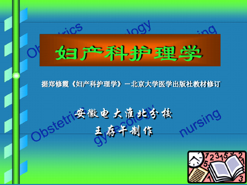 妇产科护理学 2