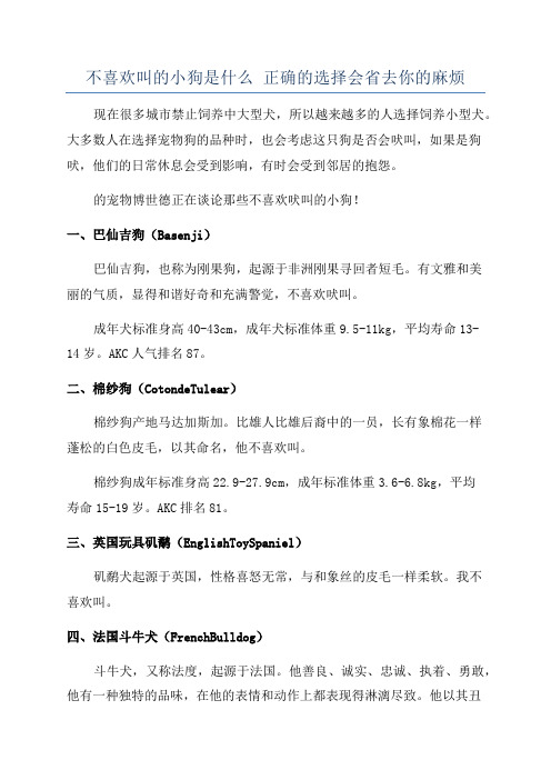 不喜欢叫的小狗是什么 正确的选择会省去你的麻烦