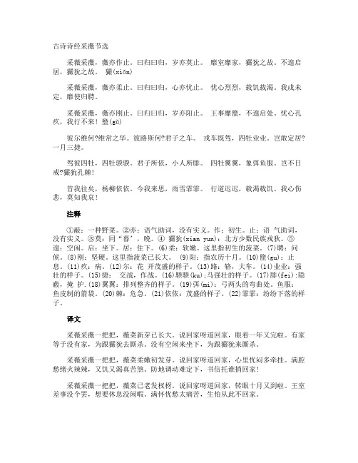 古诗诗经采薇节选