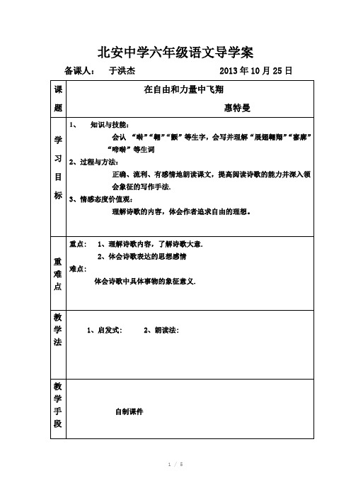 在自由和力量中飞翔教案