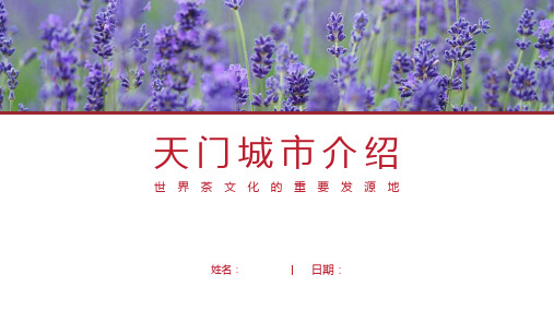 天门介绍-天门简介PPT(经典版)