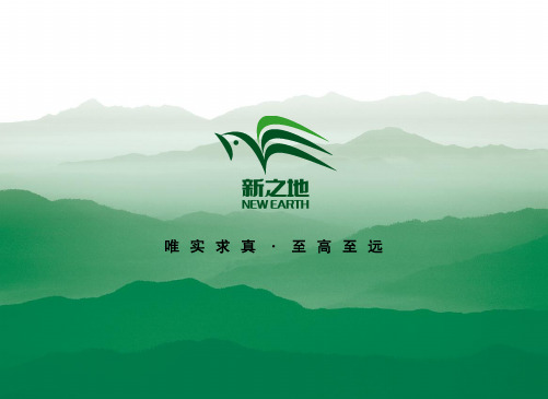 过程方法(新)