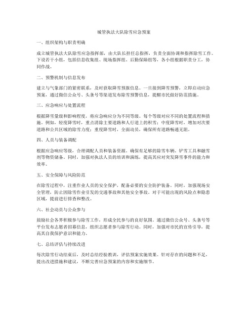 城管执法大队除雪应急预案
