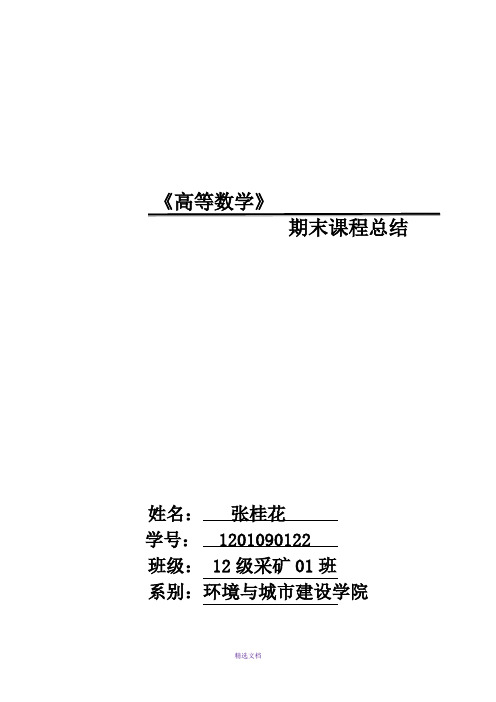 高等数学论文