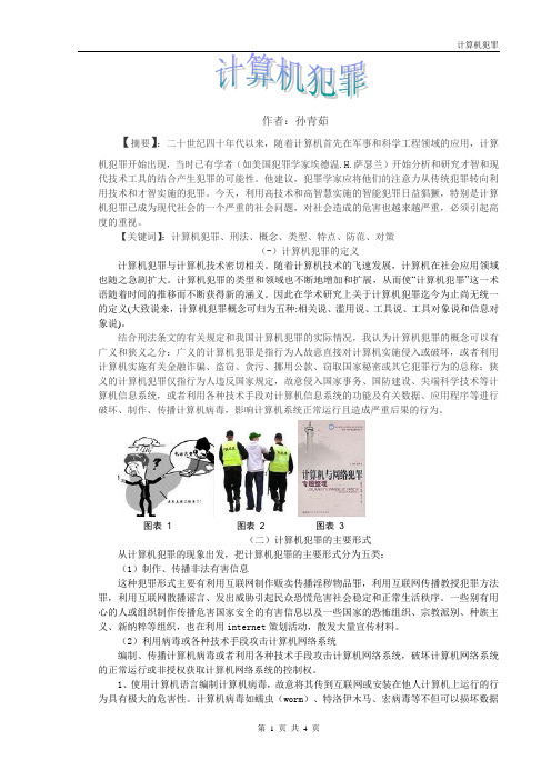_计算机犯罪