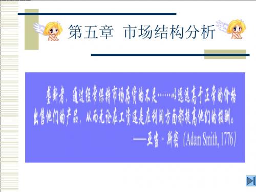 第五章  市场结构分析——微观经济学课件