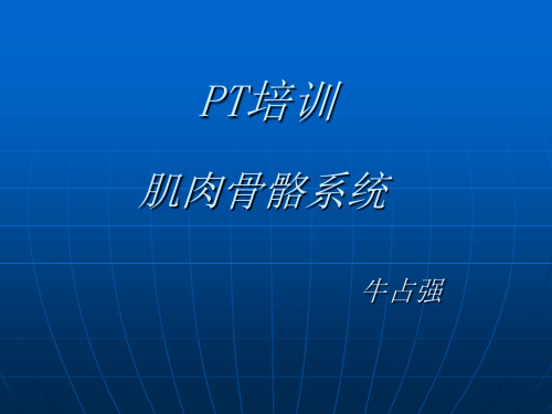 PT培训—01肌肉骨骼系统