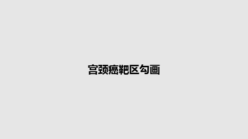 宫颈癌靶区勾画PPT教案
