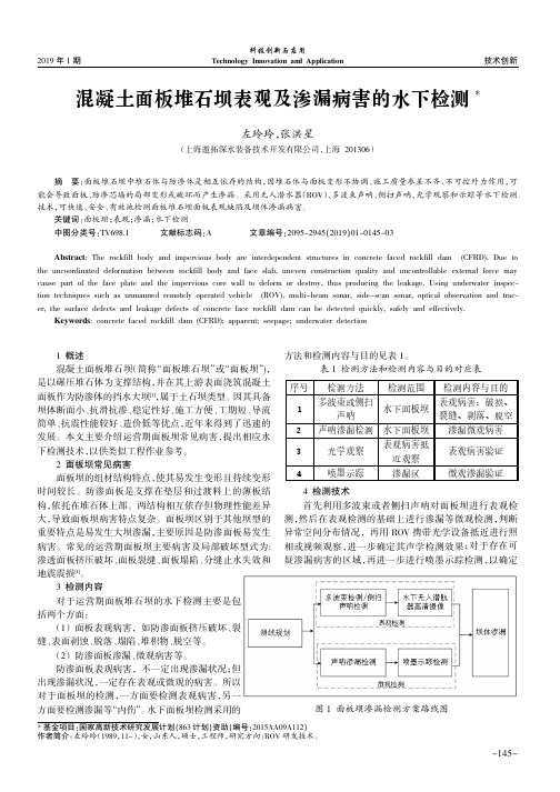 混凝土面板堆石坝表观及渗漏病害的水下检测