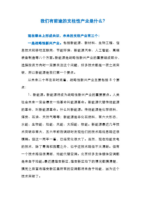 我们有前途的支柱性产业是什么