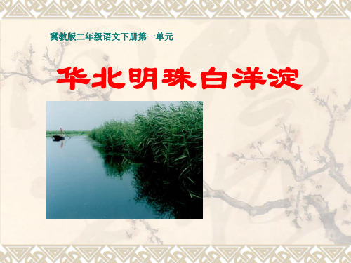 冀教版语文二年级下册第4课《华北明珠白洋淀》课件