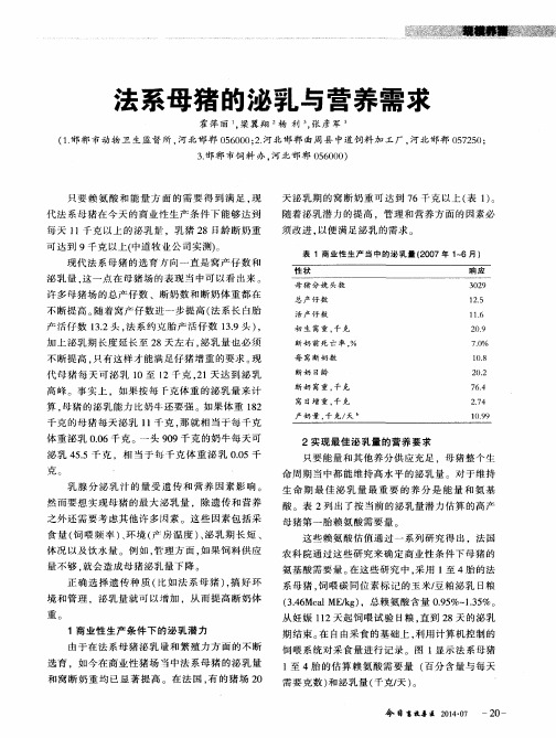 法系母猪的泌乳与营养需求