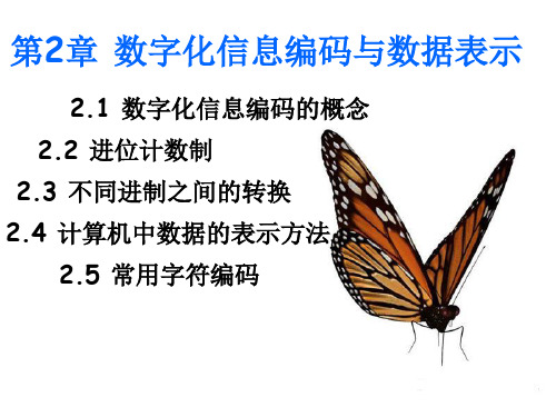 数字化信息编码与数据表示