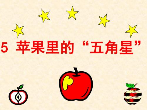 5.苹果梨的五角星.(第一课时)ppt
