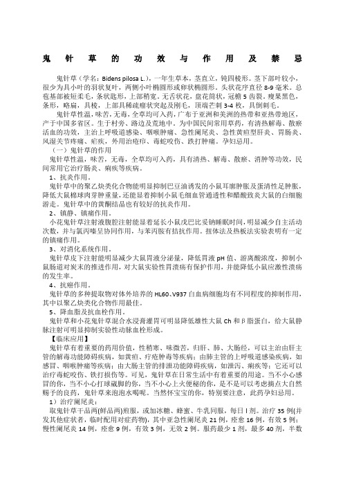 鬼针草的功效与作用及禁忌