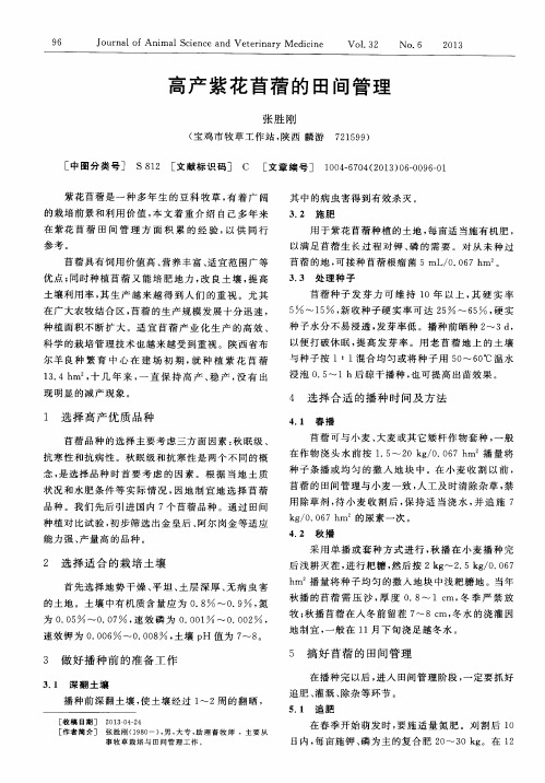 高产紫花苜蓿的田间管理