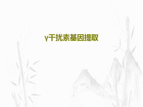 γ干扰素基因提取34页PPT