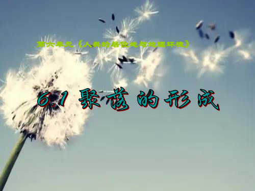 聚落的形成PPT精品课件