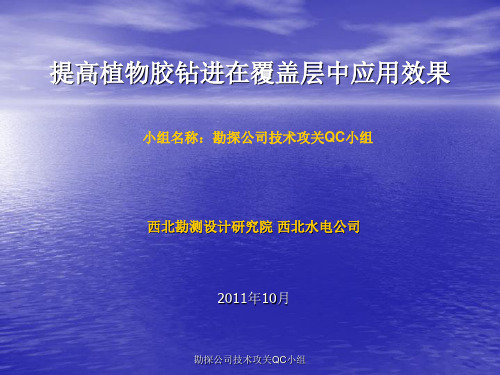 植物胶钻