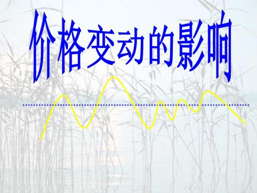 高中政治人教版必修1第1单元第2课第二框价格变动的影响  课件(共17张PPT)