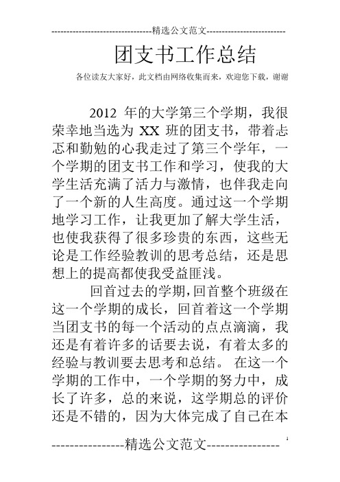 团支书工作总结
