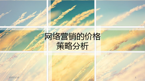 网络营销的价格策略分析基础PPT课件
