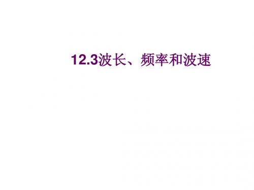 好12.3波长、频率和波速