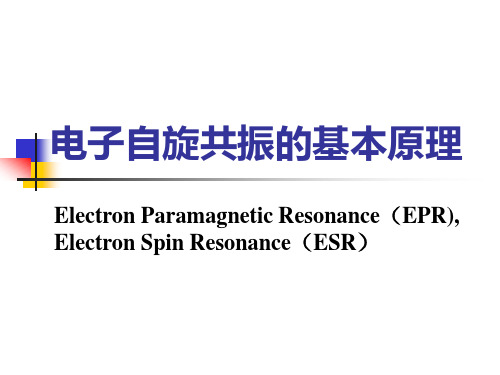 北京大学 电子自旋共振