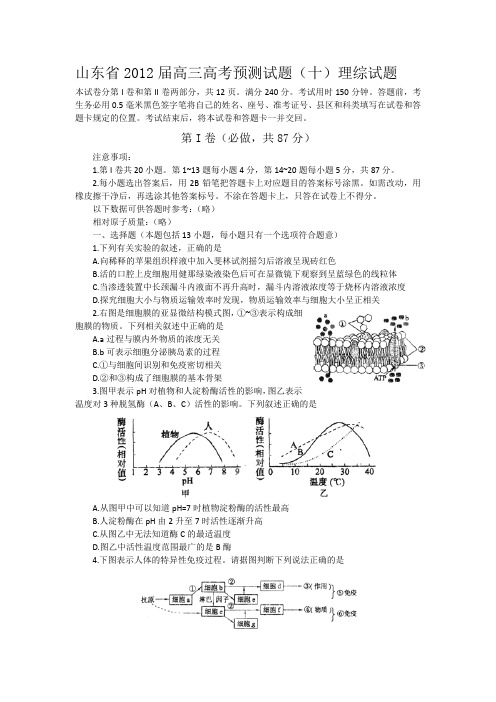 山东省2012届高三高考预测试题(十)理综试题