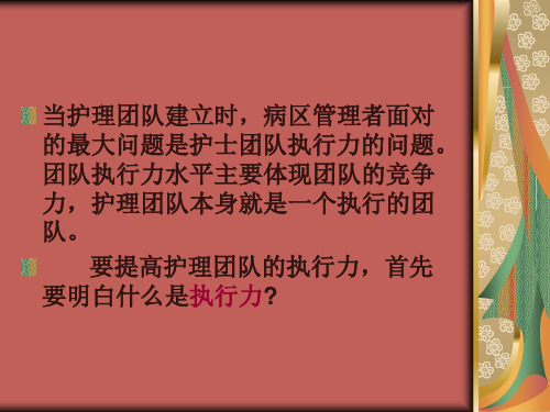 护士的执行力ppt课件