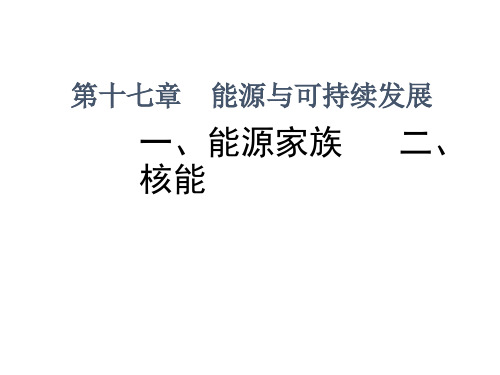 人教版九年级物理 22-4 能源革命课件 (10)