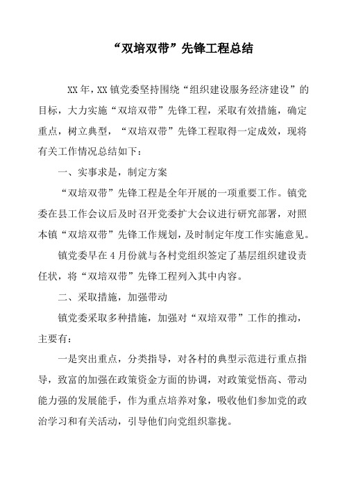 “双培双带”先锋工程总结