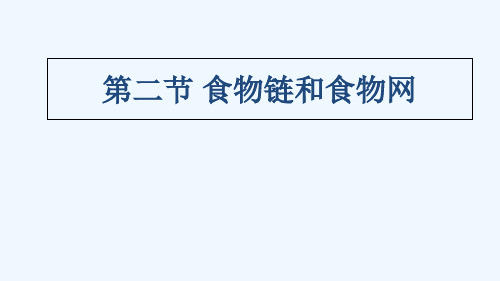 八年级生物下册..食物链和食物网课件冀教版