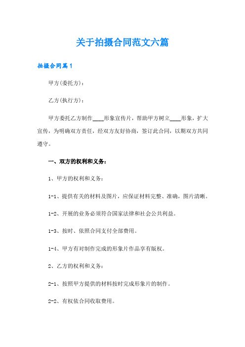 关于拍摄合同范文六篇