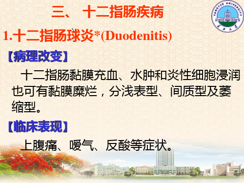 医学课件十二指肠疾病