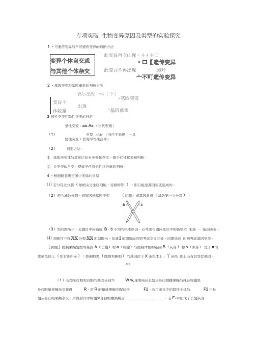 2019版高考生物总复习第七单元生物的变异、育种和进化专项突破生物变异原因及类型的实验探究