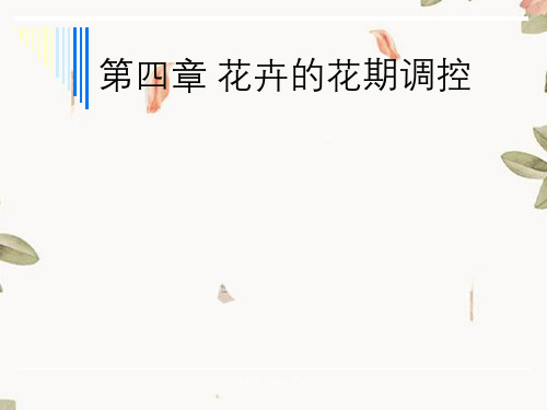 第6章花卉的花期调控