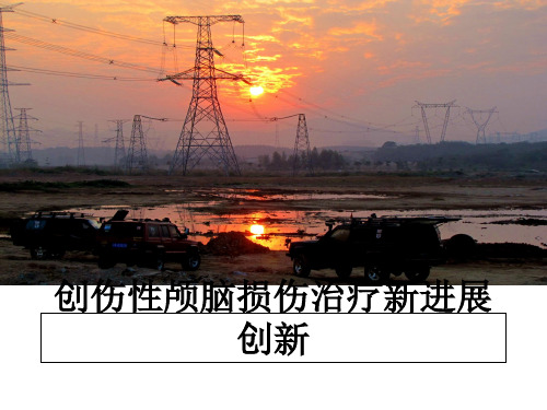 最新创伤性颅脑损伤治疗新进展创新教学讲义PPT课件