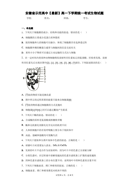 2020-2021学年高一下学期统一考试生物试题含答案解析