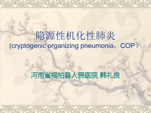 隐源性机化性肺炎的CT诊断