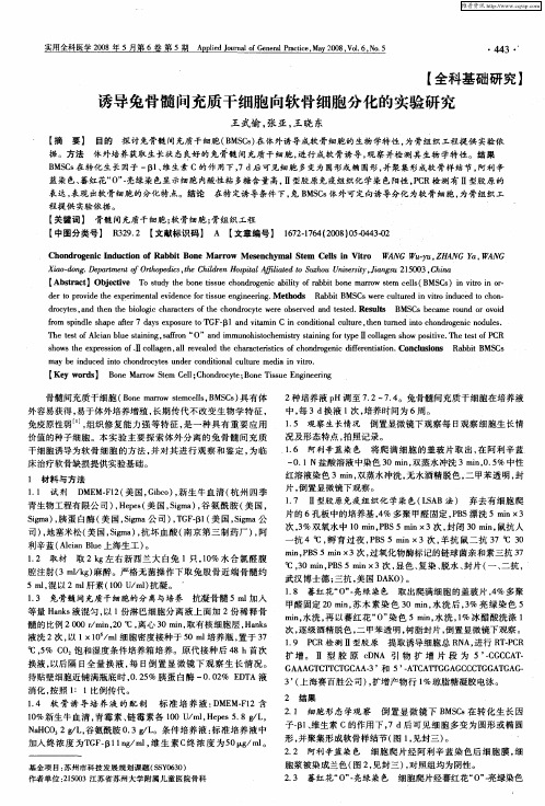 诱导兔骨髓间充质干细胞向软骨细胞分化的实验研究