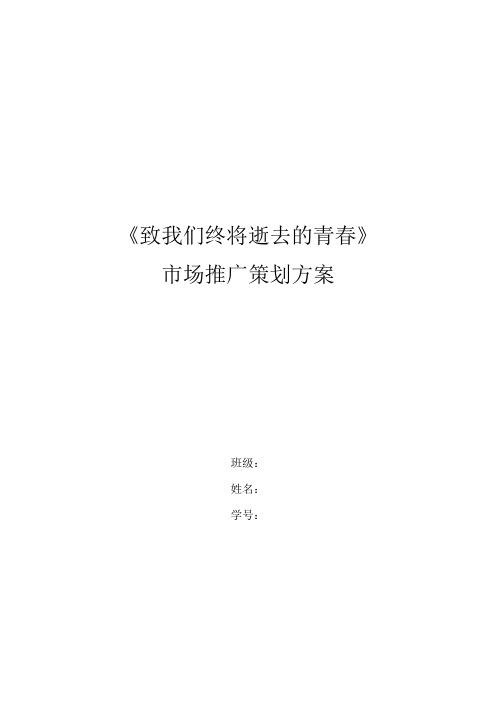《致青春》市场推广策划方案