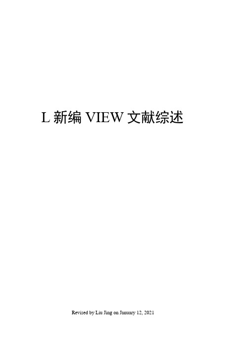 L新编VIEW文献综述