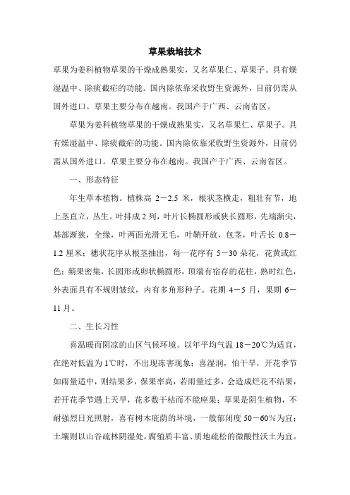草果栽培技术