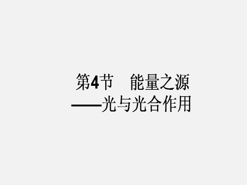 高考生物 一轮复习  细胞的能量供应和利用 第4节 能量之源-光与光合作用 新人教版必修1