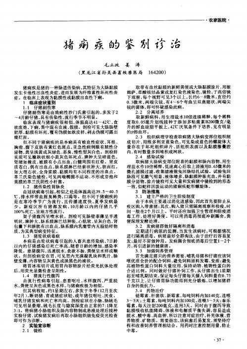 猪痢疾的鉴别诊治