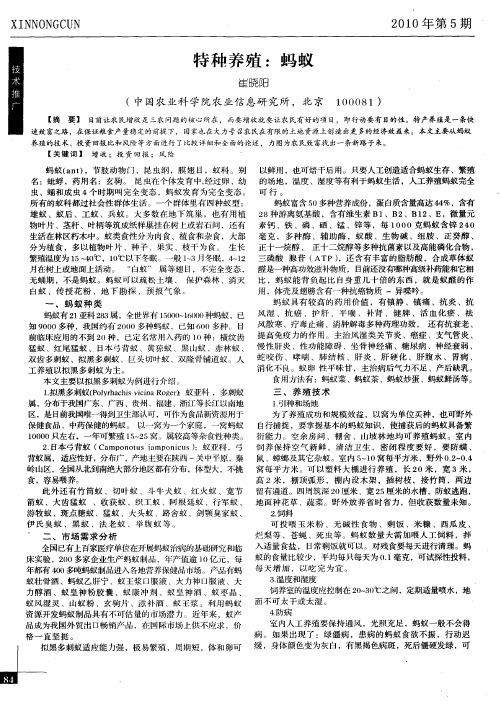特种养殖：蚂蚁