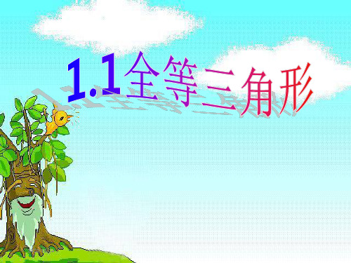 苏科版八年级上册课件 1.2.1 全等三角形 (共20张PPT)